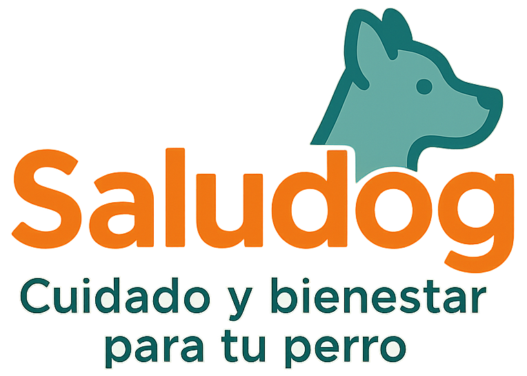'Saludog – Cuidado y bienestar para tu perro'
